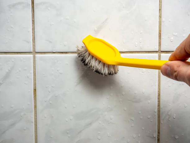 Best Same-Day Mold Removal  in Dunean, SC