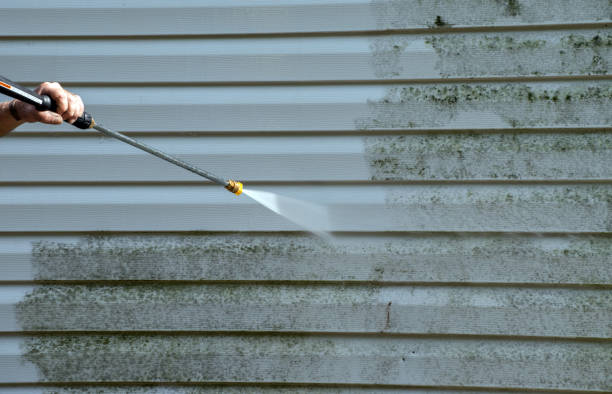 Mold Removal Process in Dunean, SC