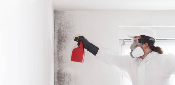 Crawl Space Mold Removal in Dunean, SC